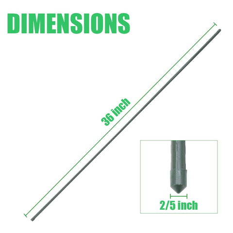 Mininfa stake keeps branches upright, promoting airflow and healthier fruit.
