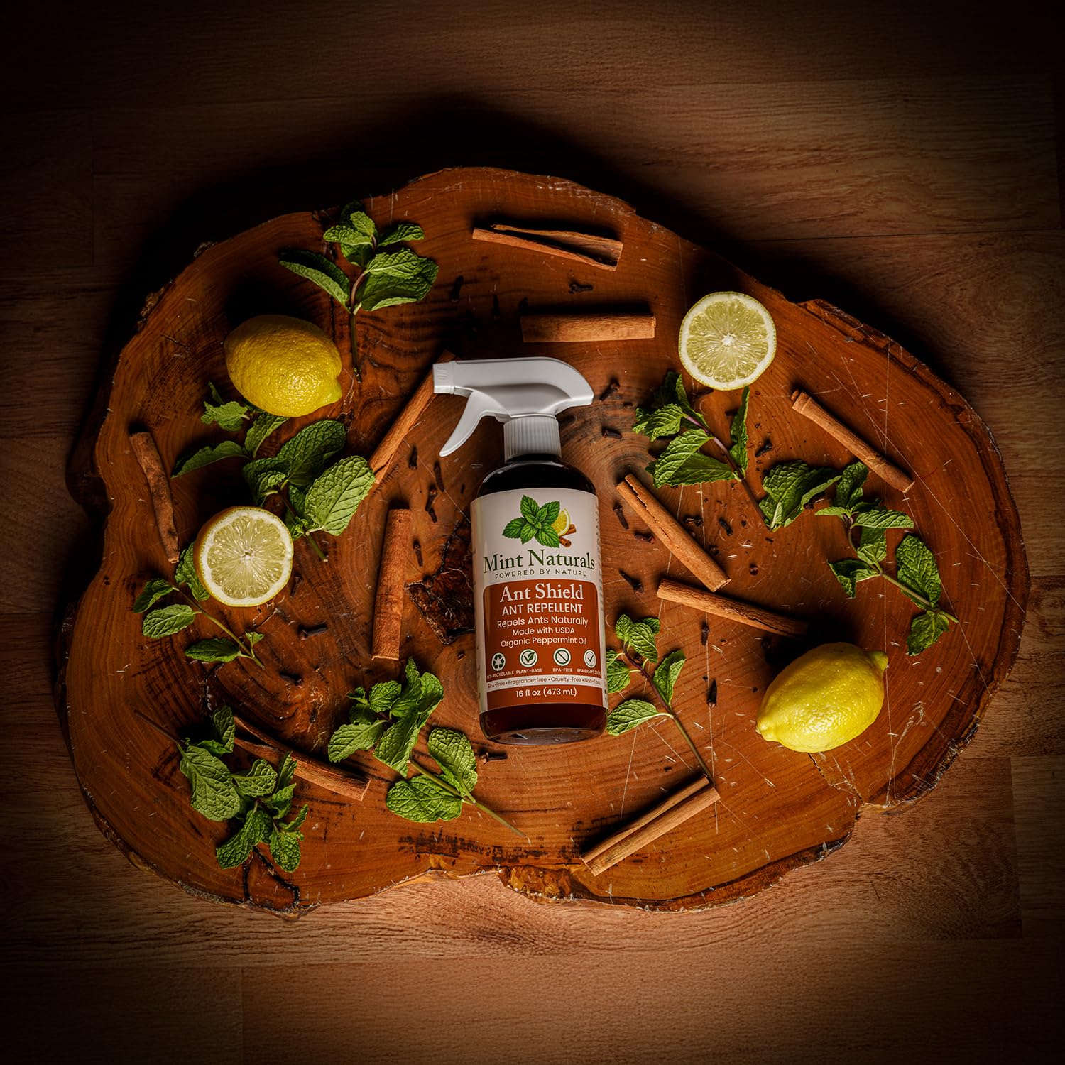 Mint Naturals spray at doorway thresholds to prevent entry.