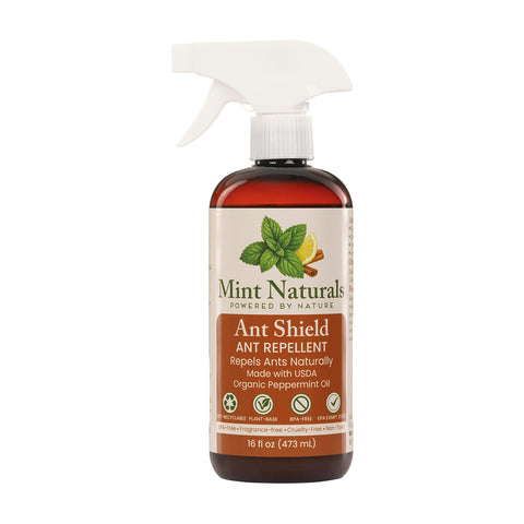 Mint Naturals ant repellent spray bottle on kitchen counter for natural deterrence.