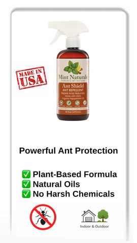 Mint Naturals peppermint oil close-up highlighting natural scent.