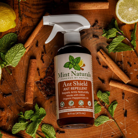 Mint Naturals ant repellent spray applied along baseboard to deter ants.