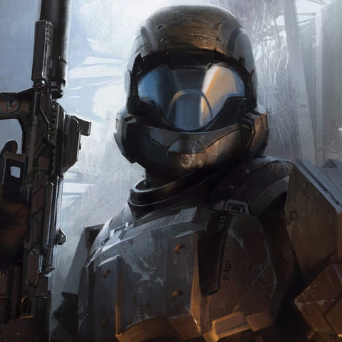 Mintu ODST flag banner single-sided print shows crisp design on walls