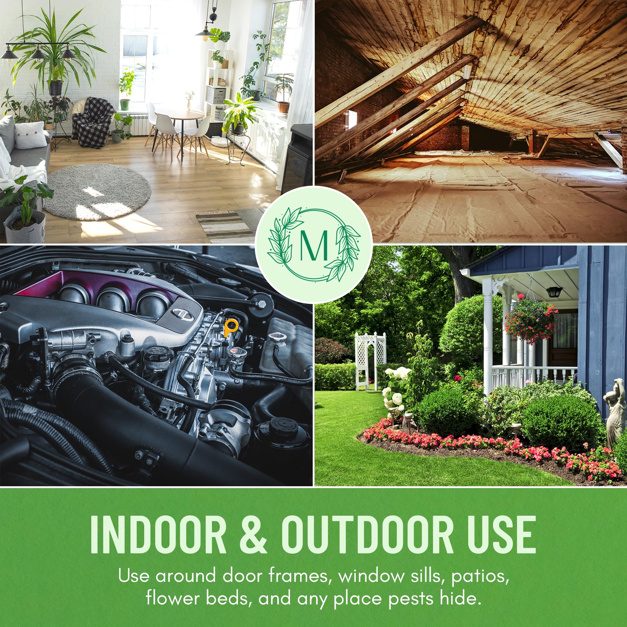 Minty spray mist on porch deters ants and spiders.