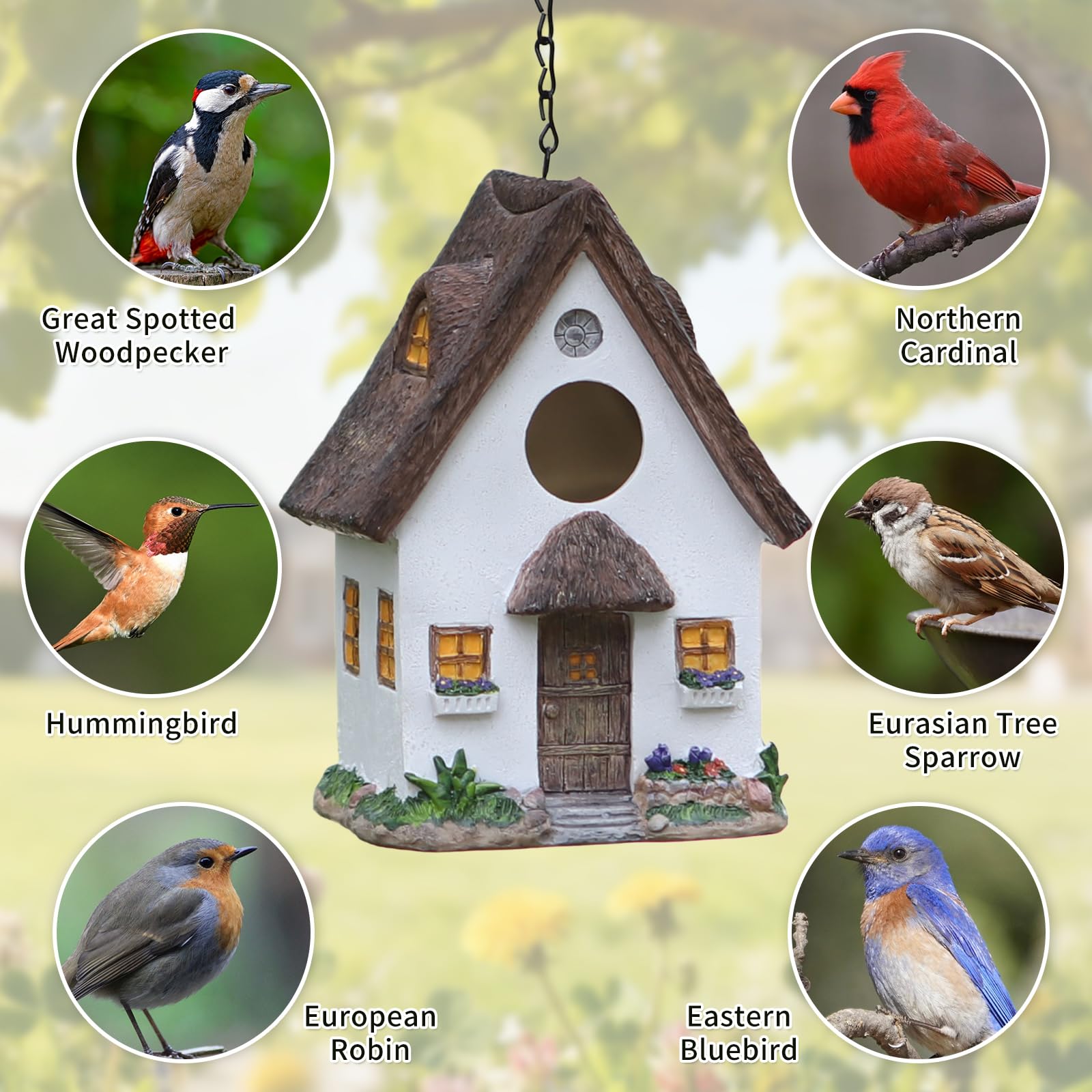 MINWOLF hand-painted resin birdhouse shows artisanal detail for garden display