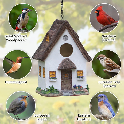 MINWOLF hand-painted resin birdhouse shows artisanal detail for garden display