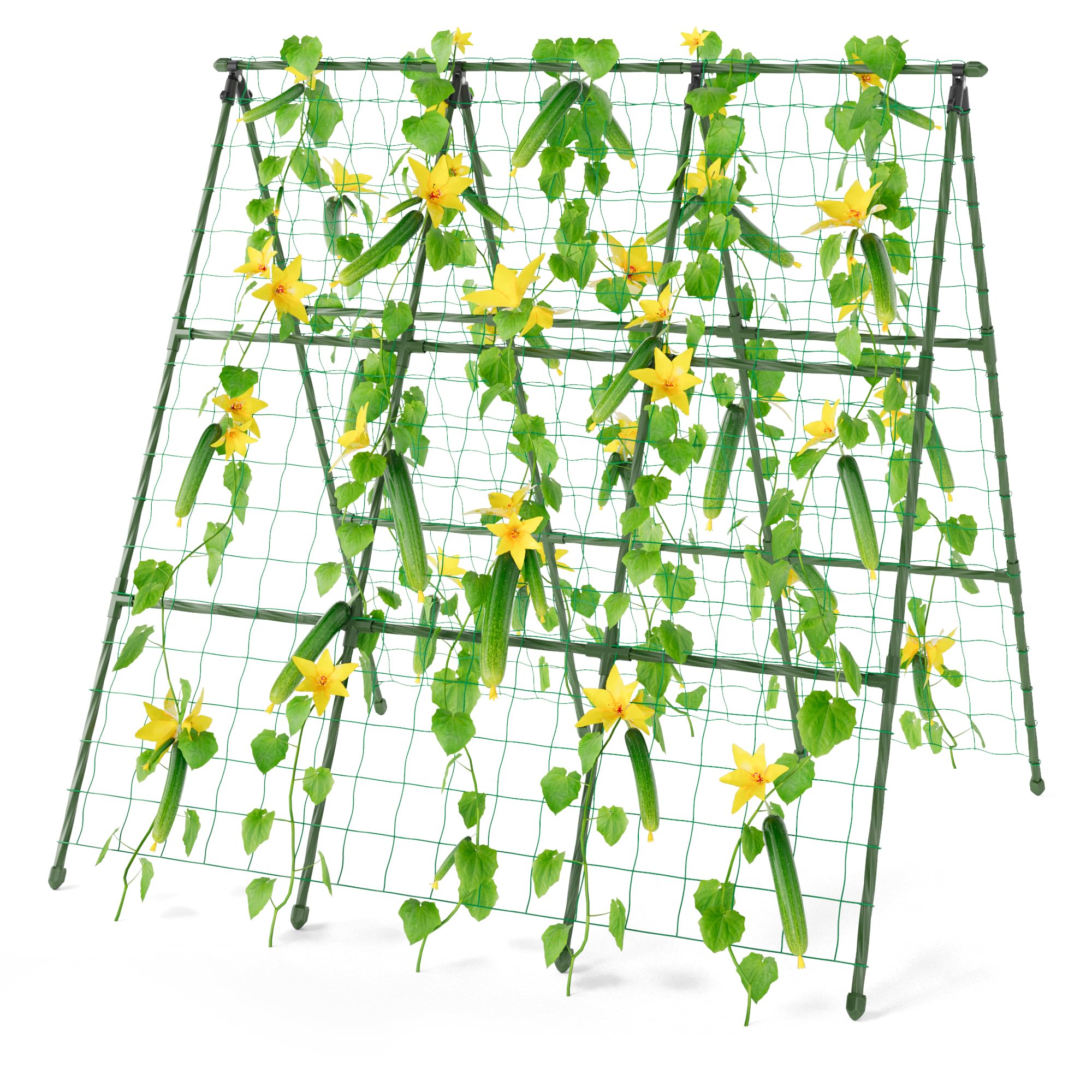 Miory cucumber trellis front view supports climbing cucumbers in raised beds for space efficiency.