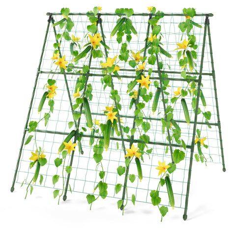 Miory cucumber trellis front view supports climbing cucumbers in raised beds for space efficiency.