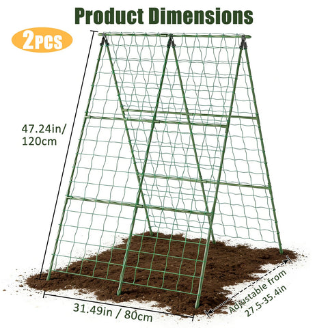 Miory cucumber trellis A-frame provides stable support for heavy fruiting plants.