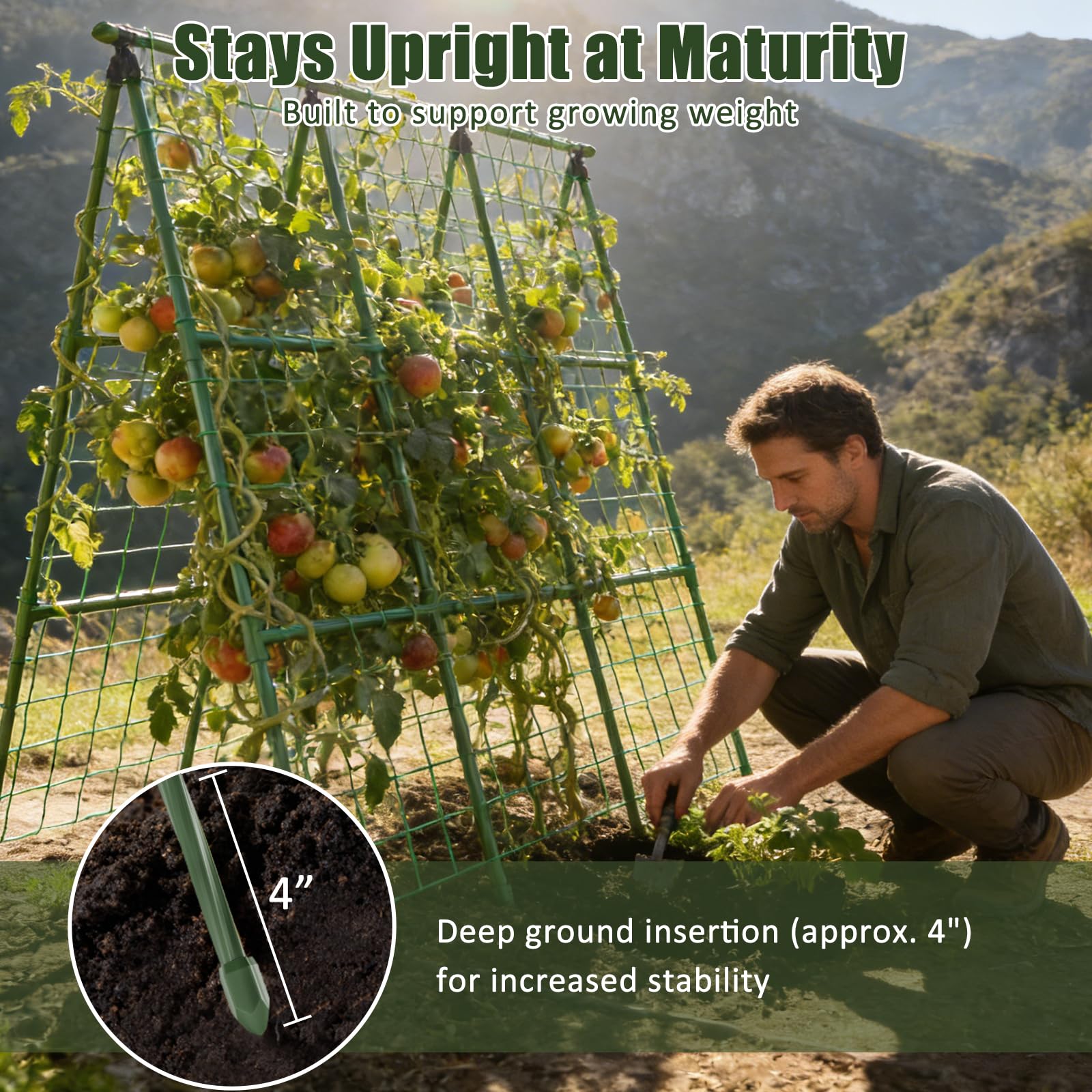 Durable 11mm steel tubing stands up to hot summers and heavy harvests.
