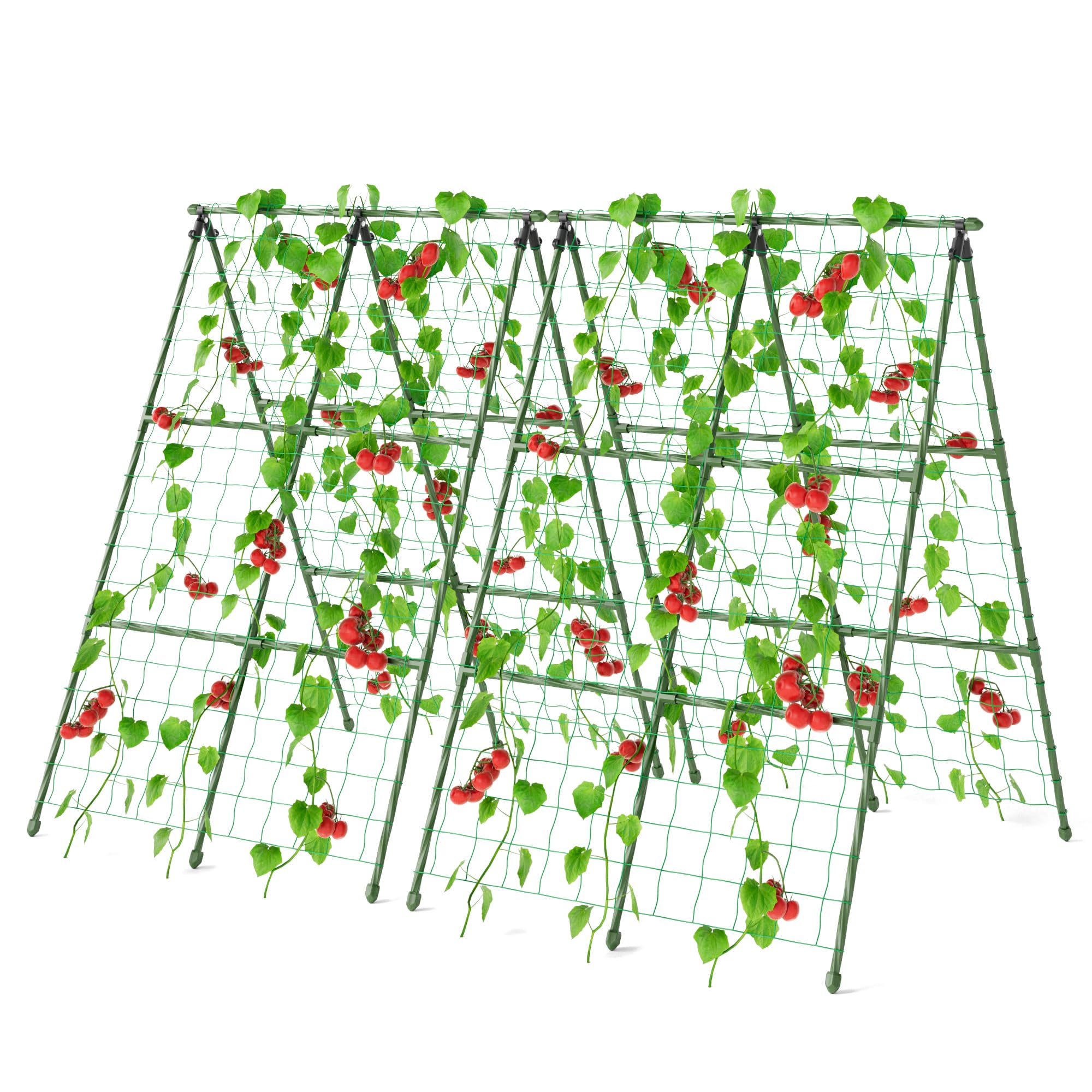 Miory cucumber trellis assembly shows quick setup for raised beds, saving space.