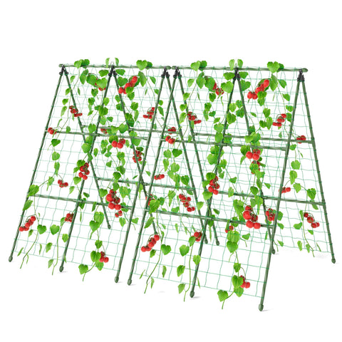 Miory cucumber trellis assembly shows quick setup for raised beds, saving space.