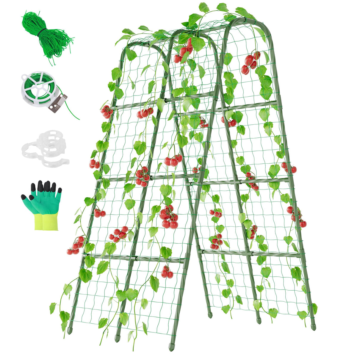 Miory cucumber trellis raised beds assembly shows quick, tool-free setup