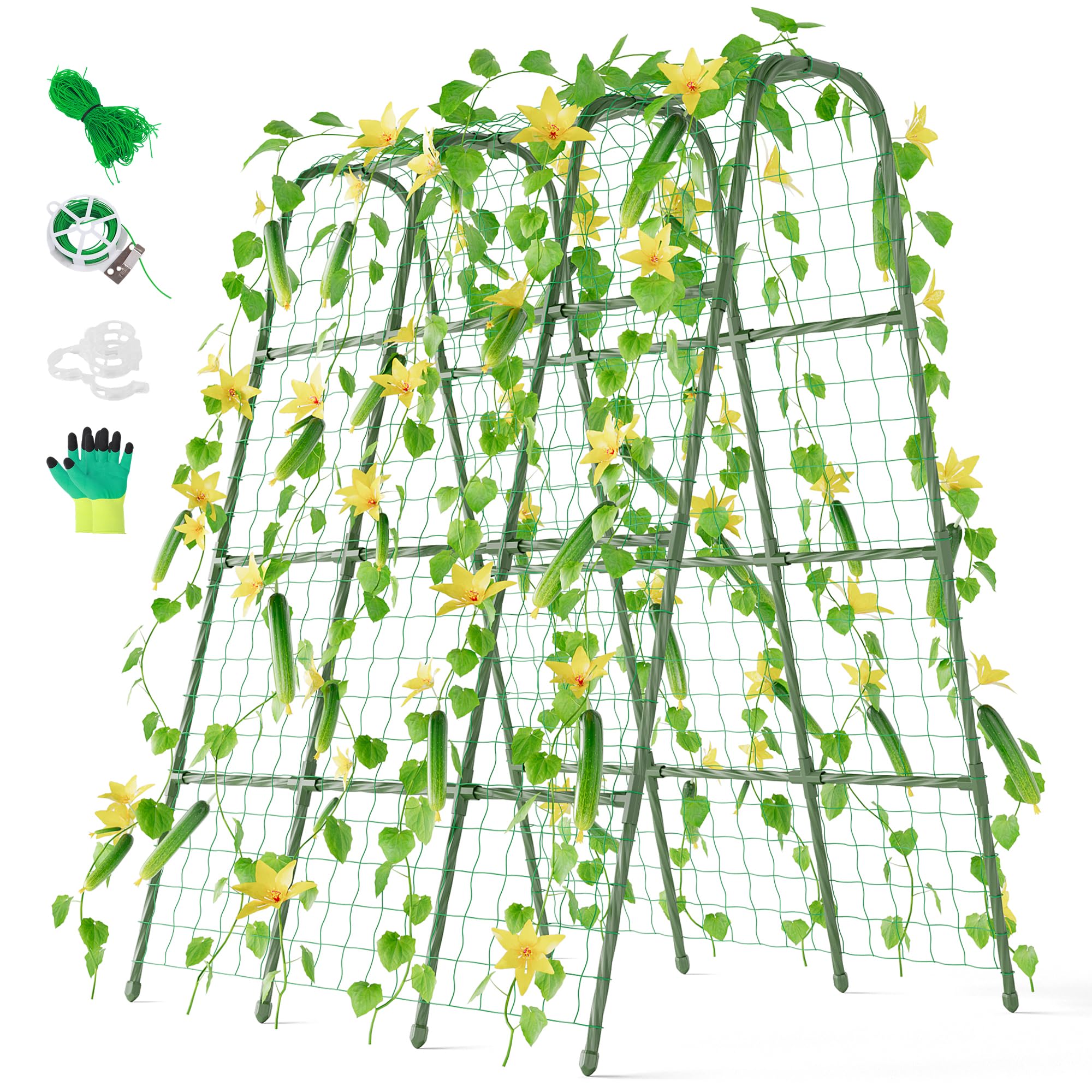 Miory cucumber trellis u-frame assembly for stable vertical gardening.