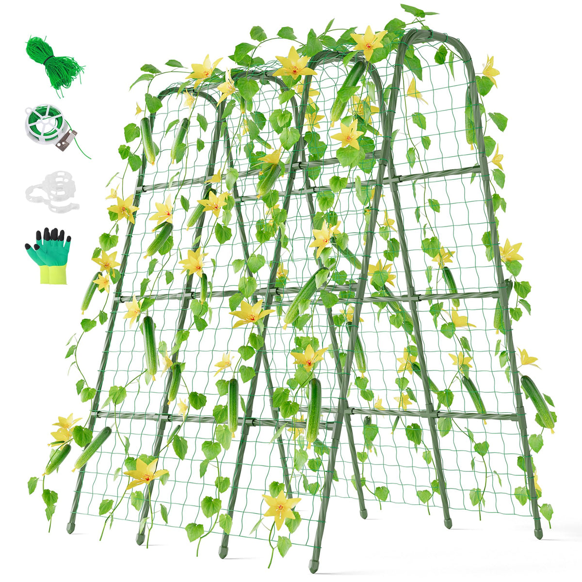 Miory cucumber trellis u-frame assembly for stable vertical gardening.