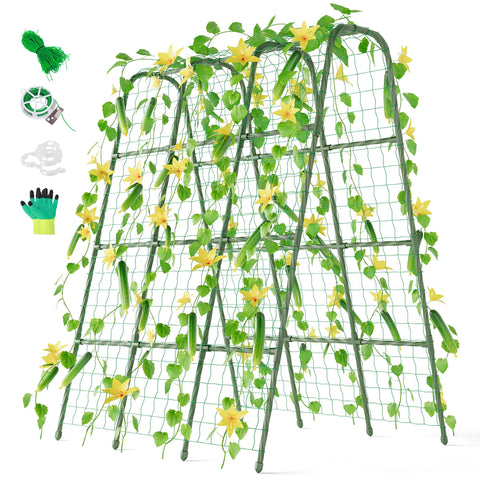 Miory cucumber trellis u-frame assembly for stable vertical gardening.
