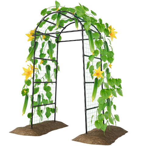 Miory garden arch trellis provides overhead support for climbing vines
