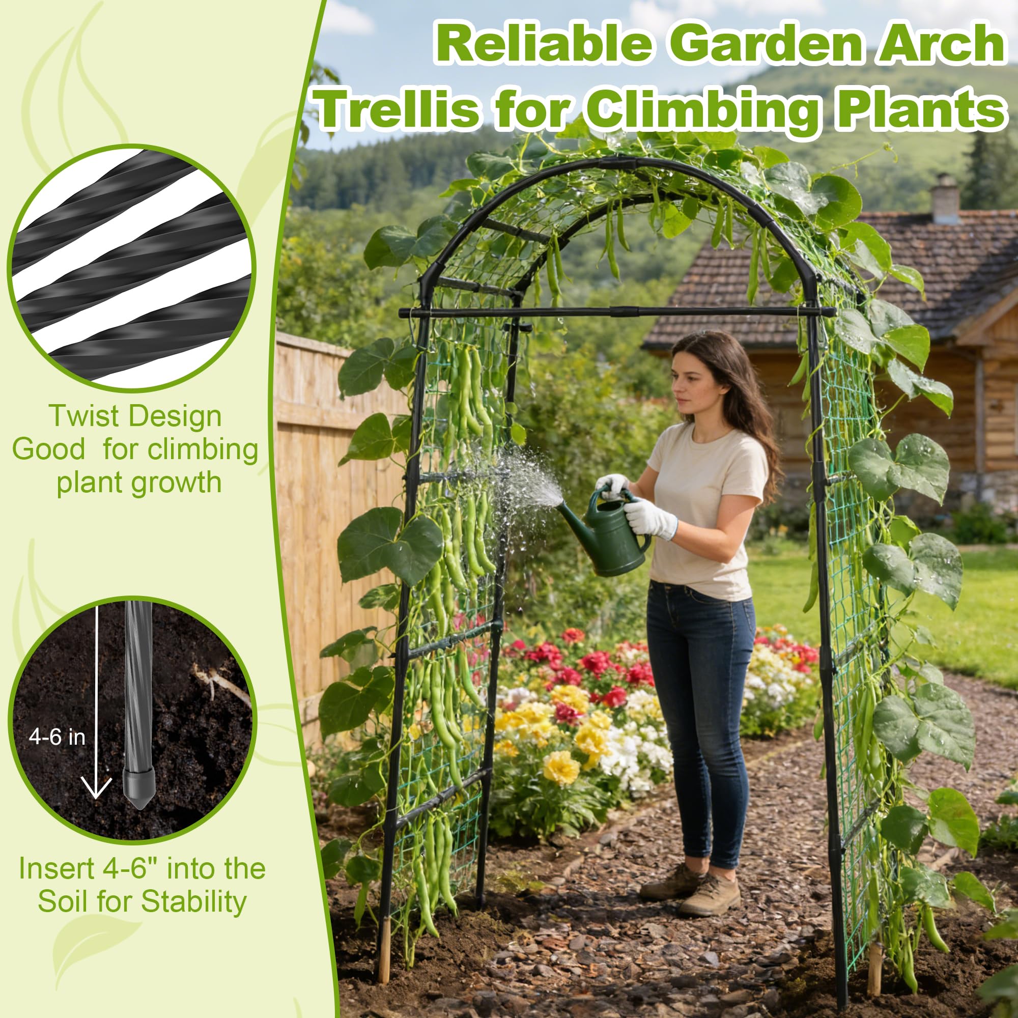 Miory arch trellis walk-through design for easy pruning and harvesting