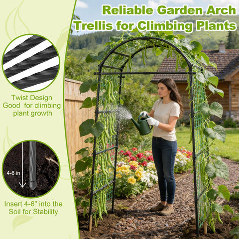 Miory arch trellis walk-through design for easy pruning and harvesting