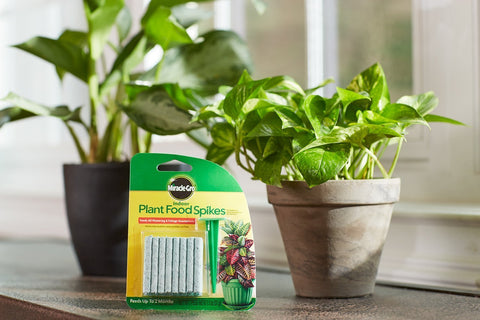 Miracle-Gro Aerator spike enables easy insertion for continuous indoor plant feeding.