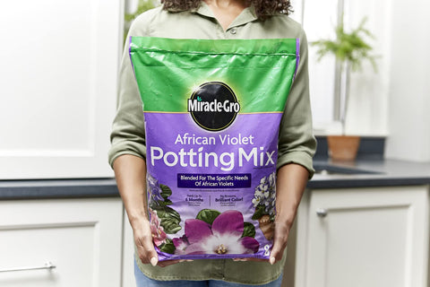 African Violet thriving indoors with Miracle-Gro mix