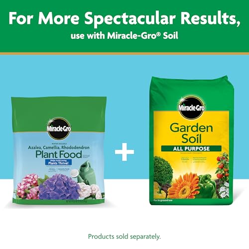 Miracle-Gro azalea food supports lush leaves and steady growth