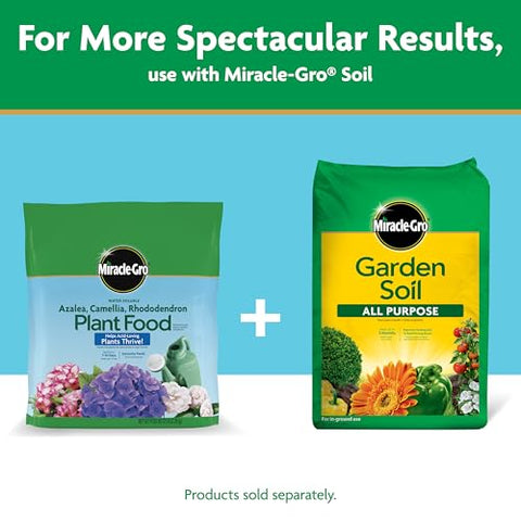Miracle-Gro azalea food supports lush leaves and steady growth