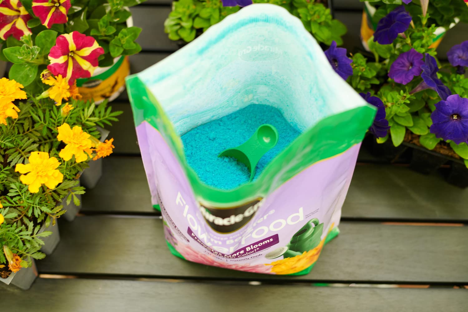 Mixing Miracle-Gro Bloom Booster with water in a watering can