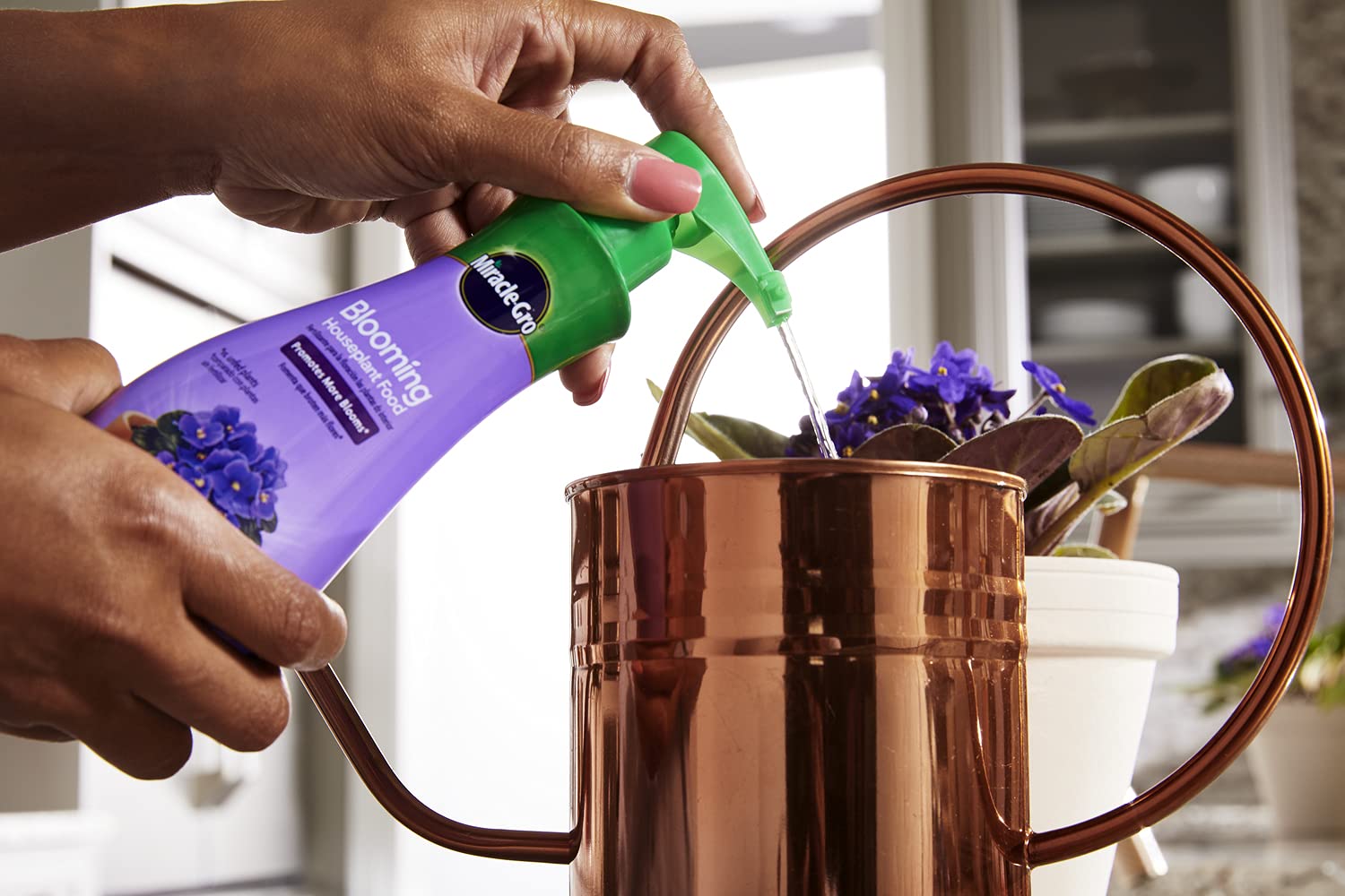 Miracle-Gro Blooming Houseplant Food for African violets and other flowering plants