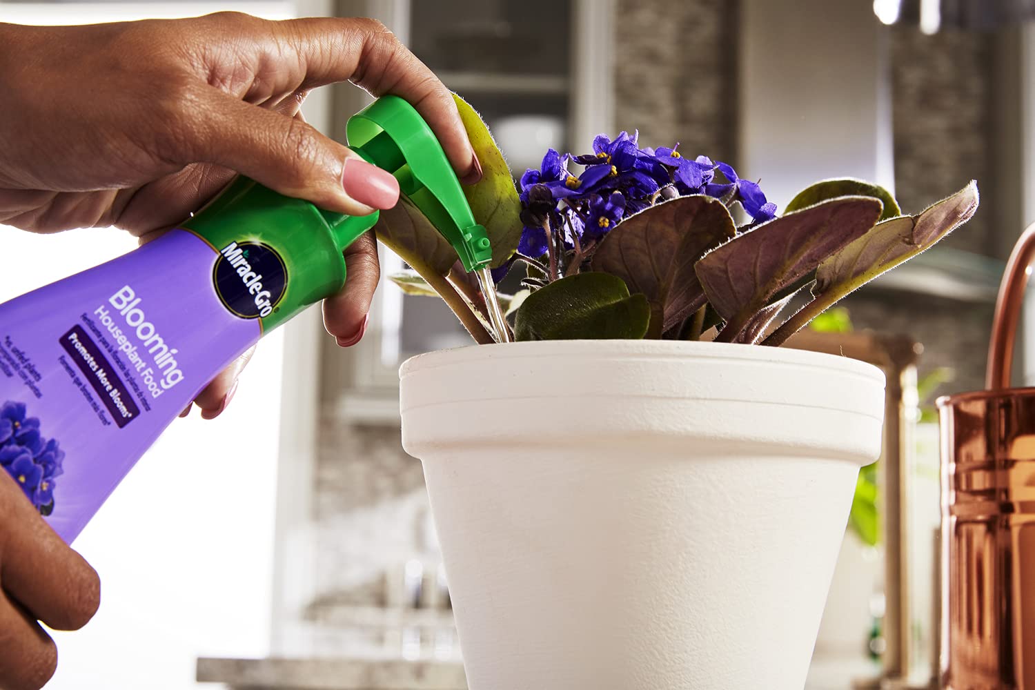 Applying Miracle-Gro Blooming Houseplant Food to soil for lush blooms