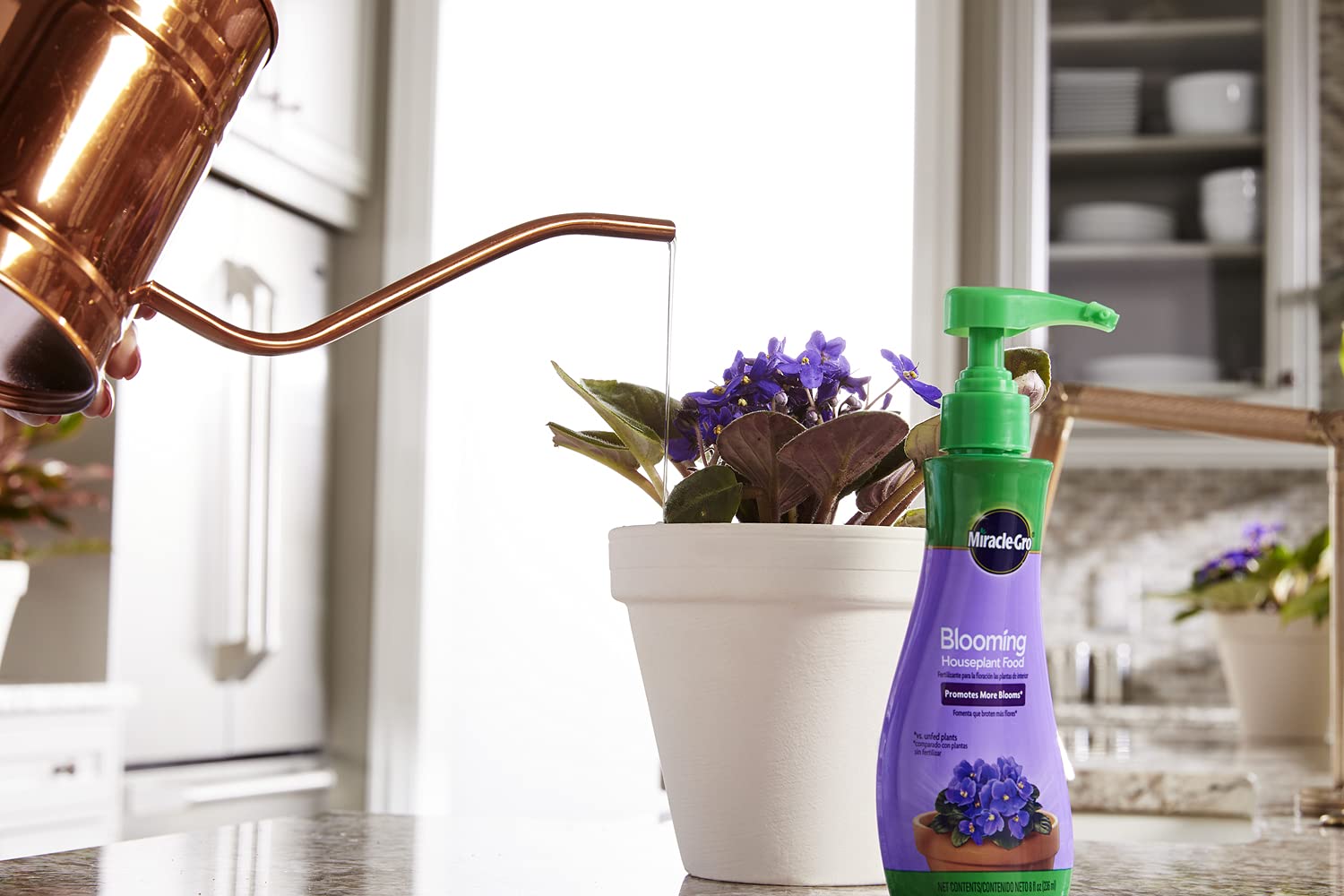Healthy blooms from Miracle-Gro Blooming Houseplant Food on flowering houseplants