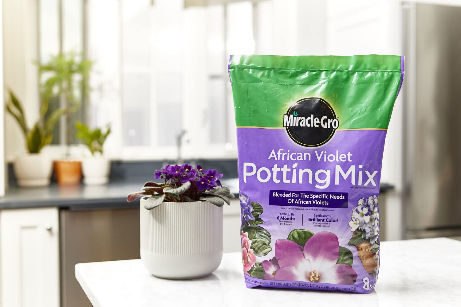 Miracle-Gro Blooming Houseplant Food bottle included