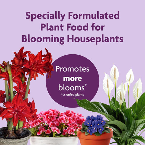 Miracle-Gro Blooming Houseplant Food direct-to-soil application highlights easy feeding of potted plants.