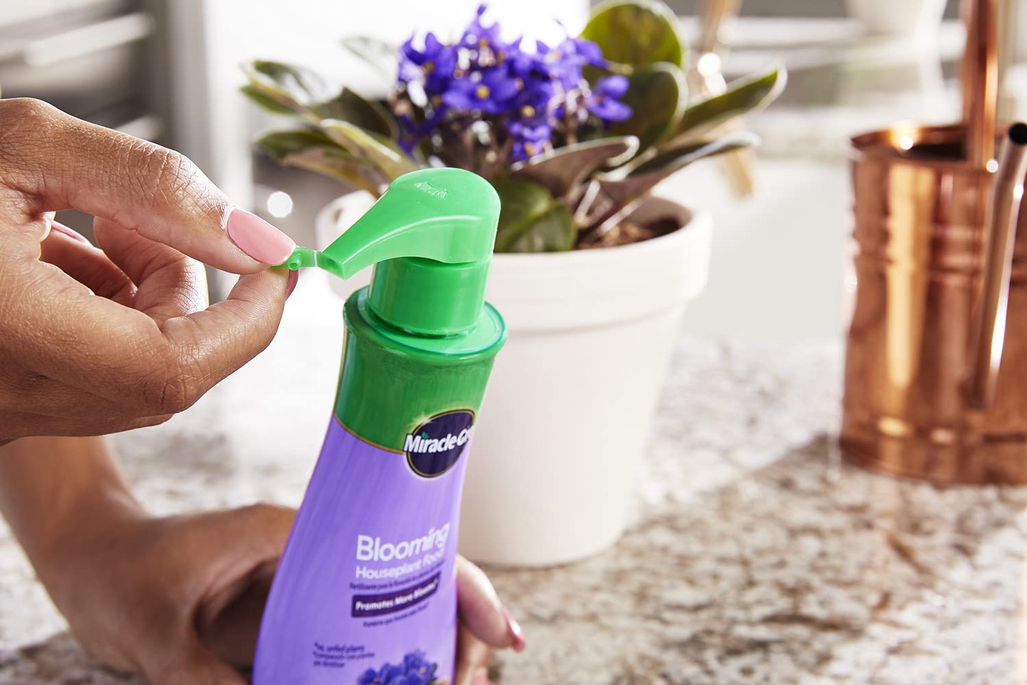 Dissolving Miracle-Gro Blooming Houseplant Food in water for even distribution