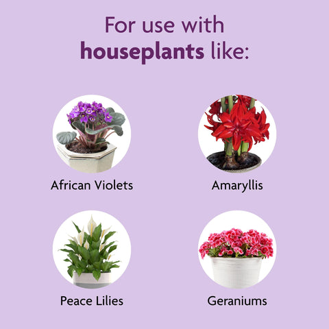 Miracle-Gro Blooming Houseplant Food dosing-steps capture simple, repeatable weekly feeding routine.