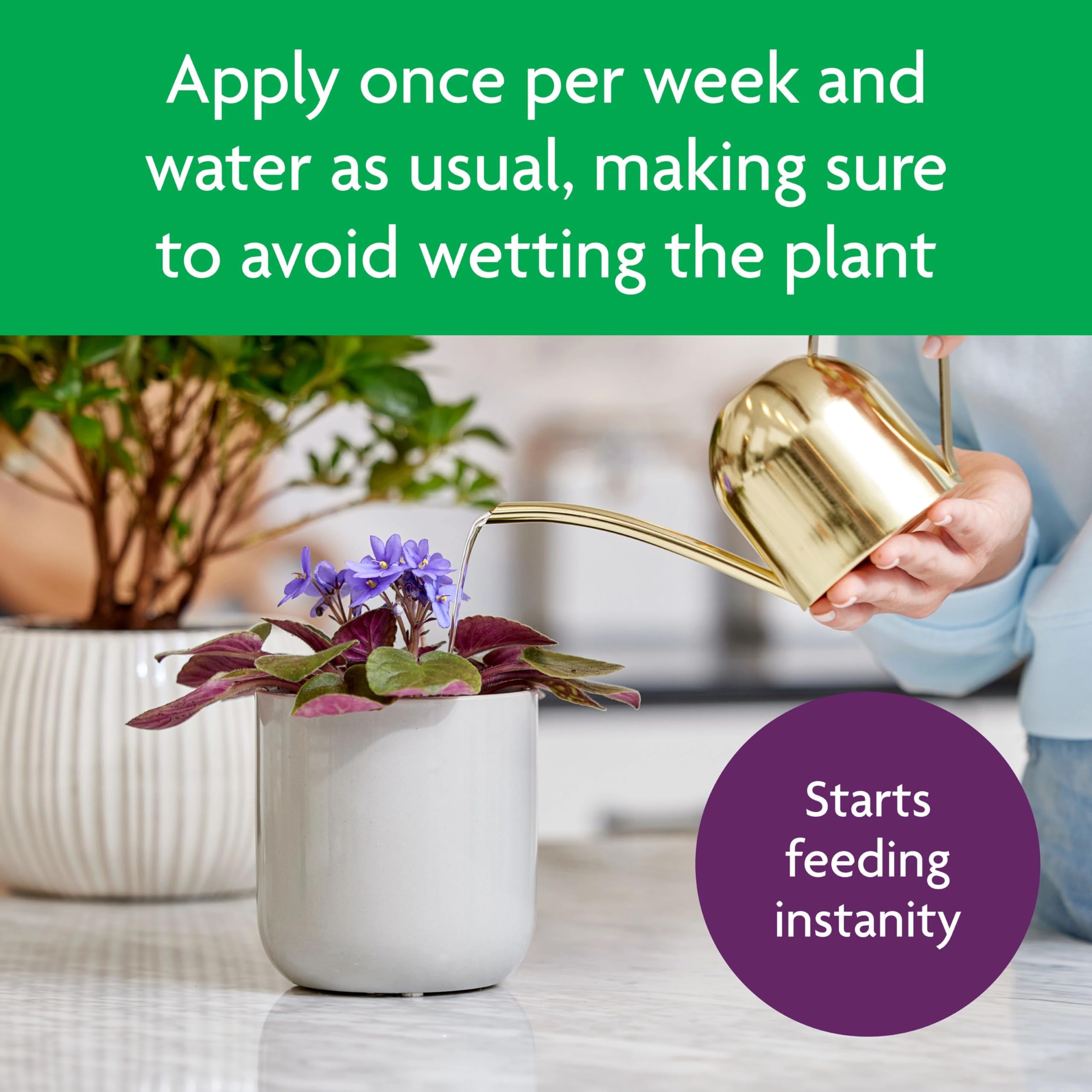 Miracle-Gro Blooming Houseplant Food spring-summer-use keeps plants fed during peak season.