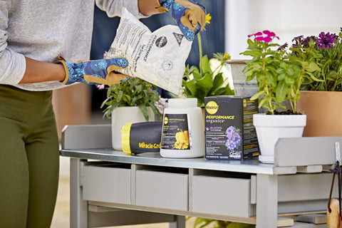 Miracle-Gro Blooms coverage up to 265 sq ft with garden feeder
