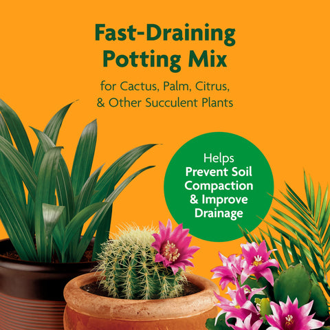Close-up of fast-draining soil blend, supporting healthy cactus and succulent roots.
