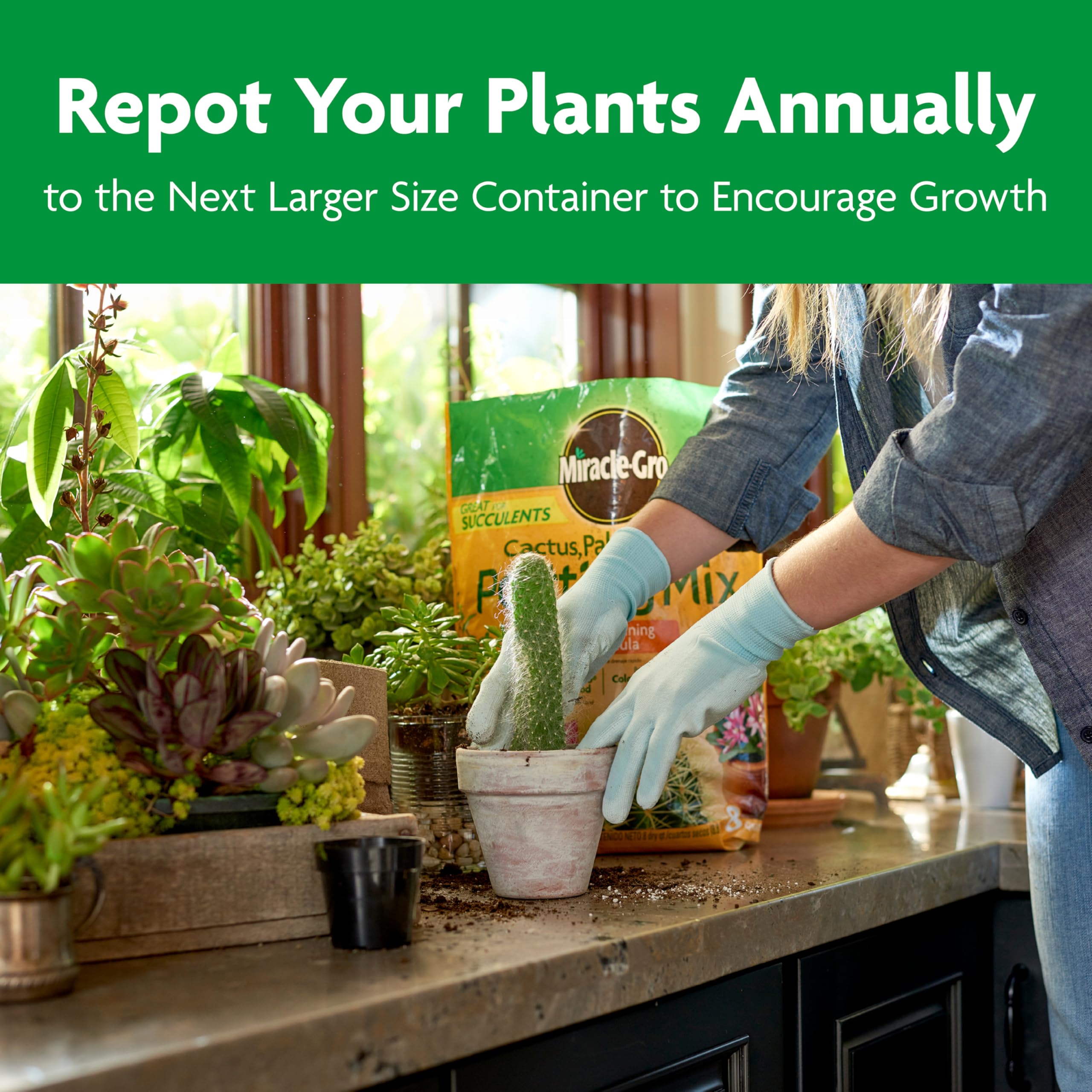 Forest product blend provides moisture balance for containers.