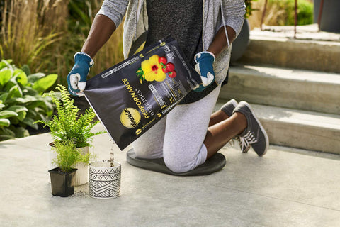 Vegetables and herbs thrive in pots with Miracle-Gro Performance Organics mix.