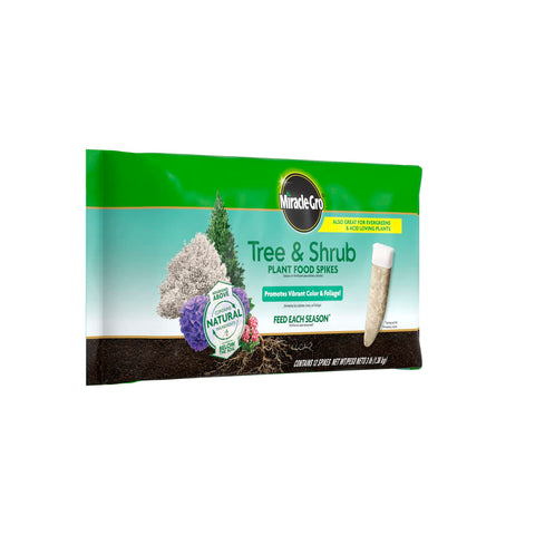 Miracle-Gro spikes near evergreens and flowering plants for color and vigor