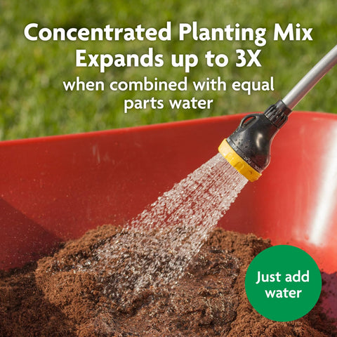 Miracle-Gro Expand 'n Gro used for container planting of thriving plants