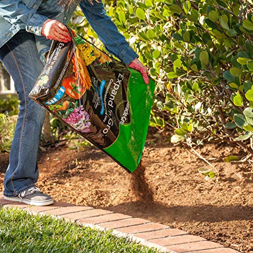 Miracle-Gro Expand 'n Gro ready-to-use bag used for container gardens.