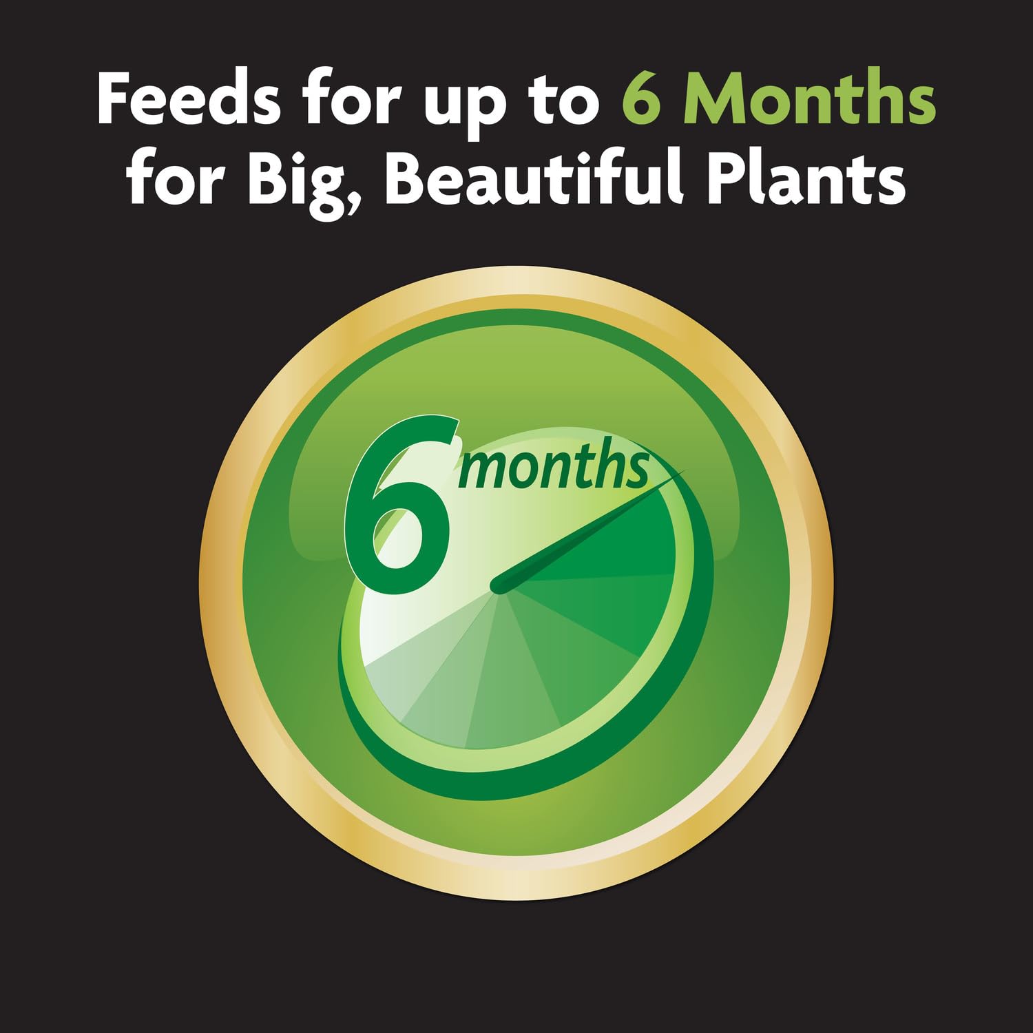 Miracle-Gro Expand 'n Gro filling two 12-inch containers