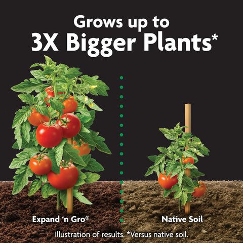 Miracle-Gro Expand 'n Gro moisture-holding capacity in action