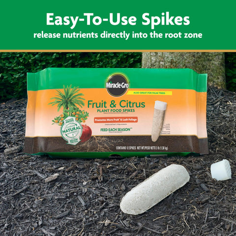 Applying the spikes in early spring for seasonal nutrition.