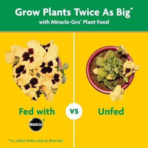 Miracle-Gro Garden Feeder pre-filled 1 lb unit ready to use.