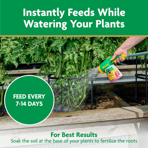 Using Miracle-Gro Garden Feeder for garden-wide nourishment
