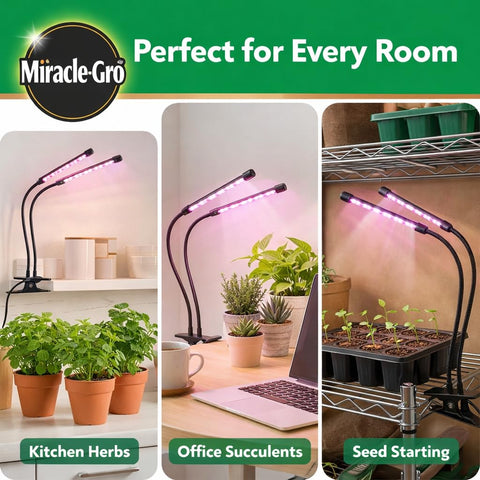 Miracle-Gro flowering mode encourages brighter blooms and fragrance.