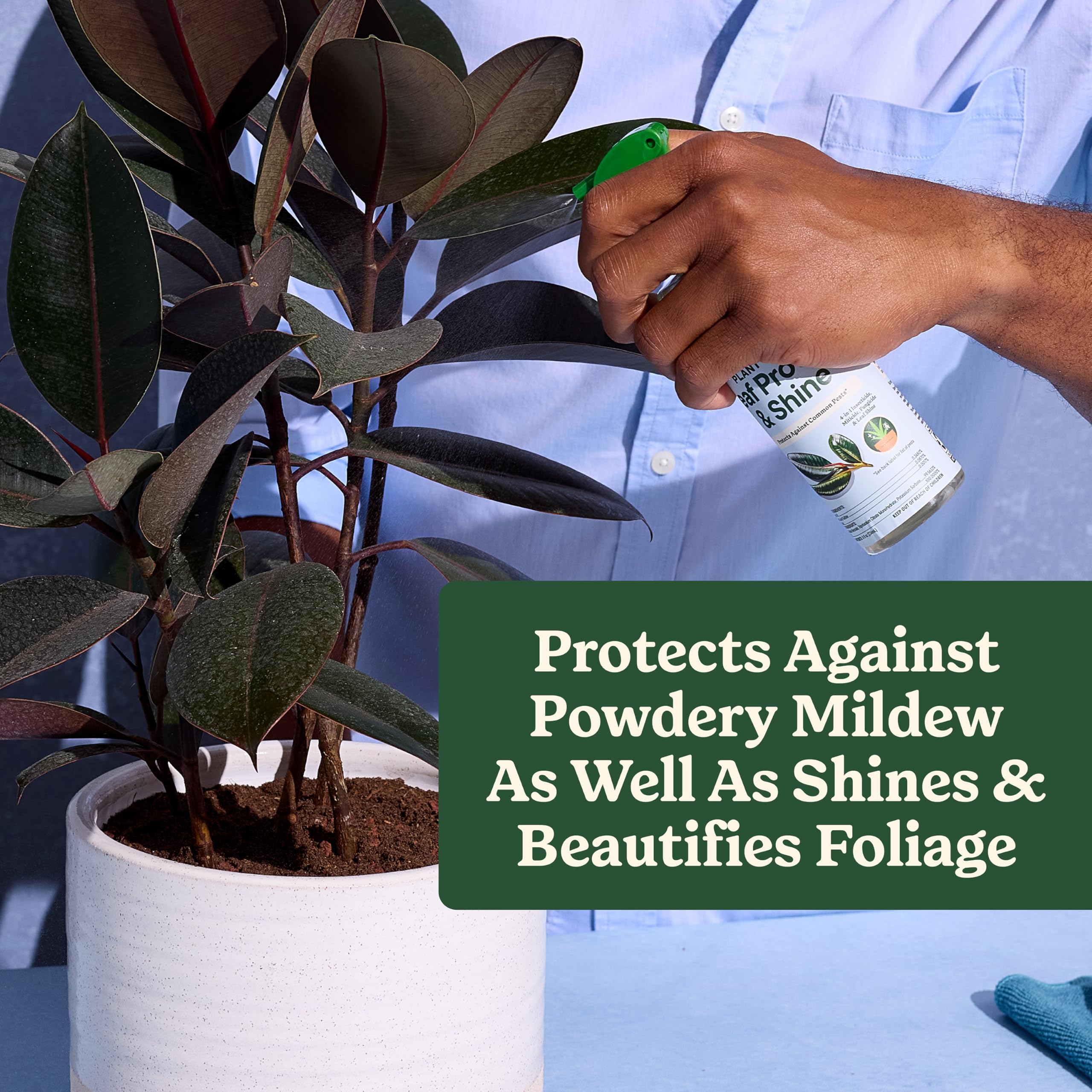 Herbs thriving in indoor pots using Miracle-Gro bundle solutions