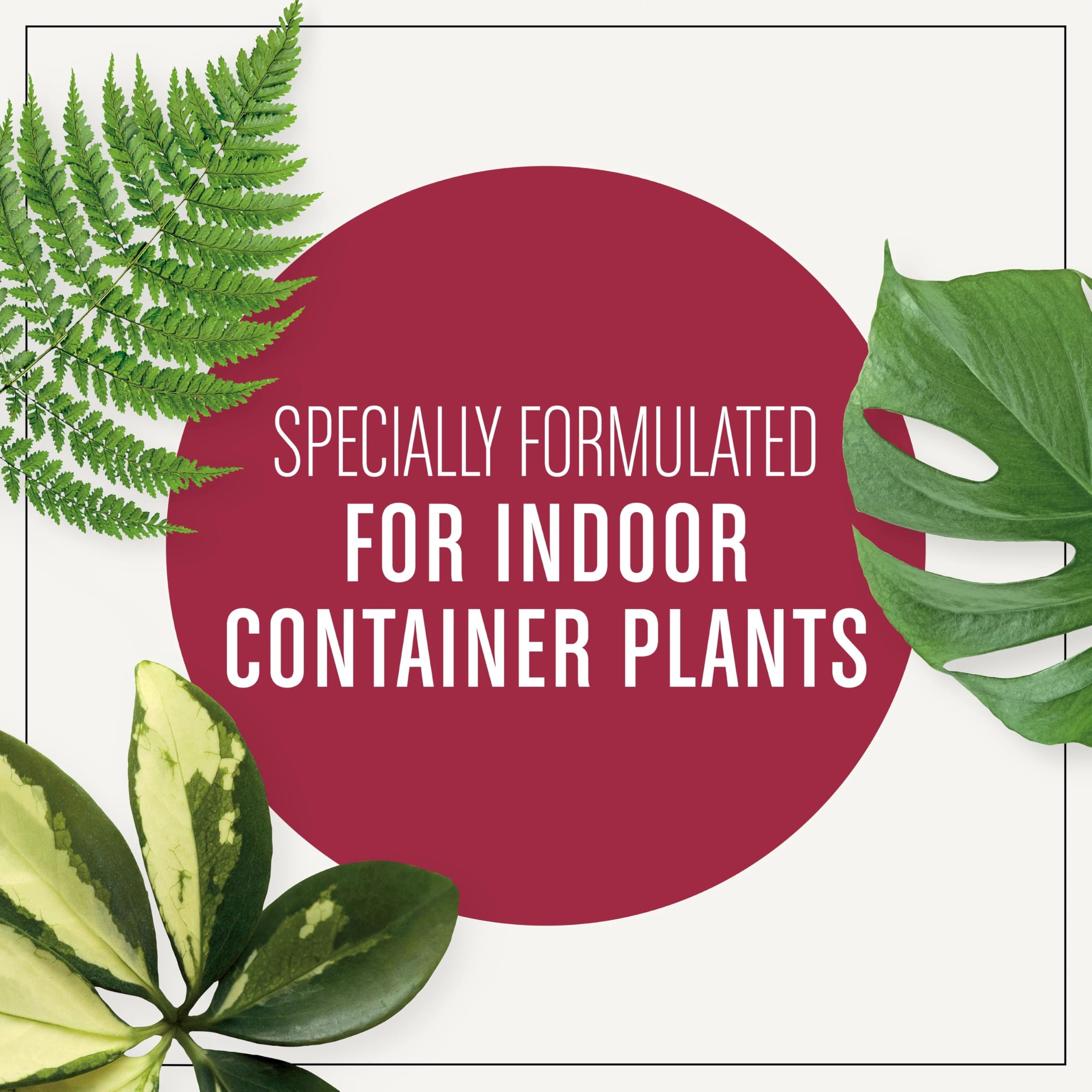 Miracle-Gro Houseplant Potting Mix 8-inch container; ready for potting in standard planters.
